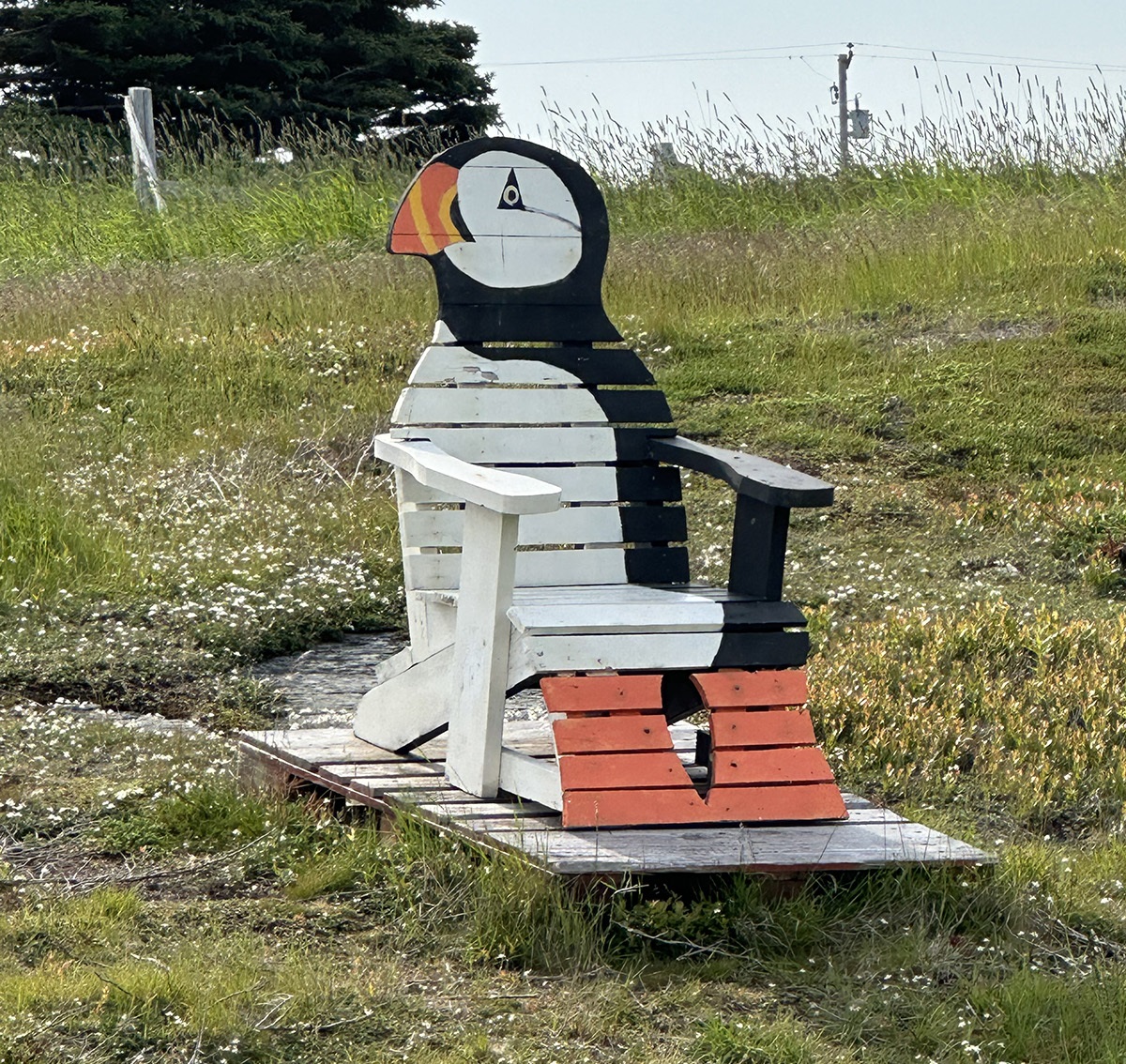 puffin chair in Elliston, Newfoundland
